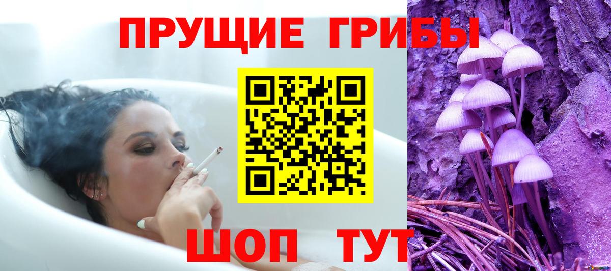 Касимов  Галлюциногенные грибы GOLDEN TEACHER  Вход с VPN 